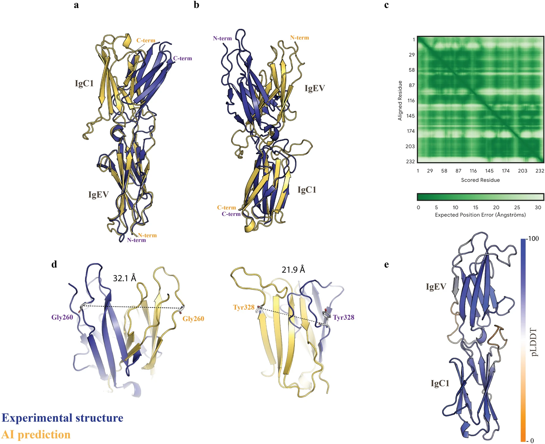 AlphaFold Protein Structure